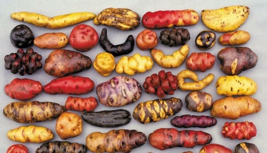 20 photos that will tell you amazing stories