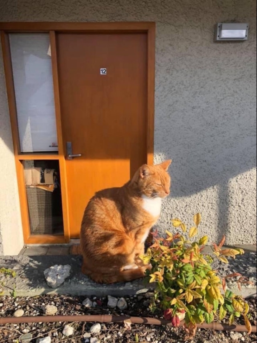 20 pictures you have to look twice