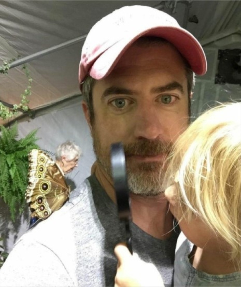 20 pictures you have to look twice