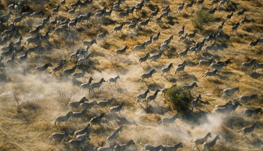 20 places where rare animals are found