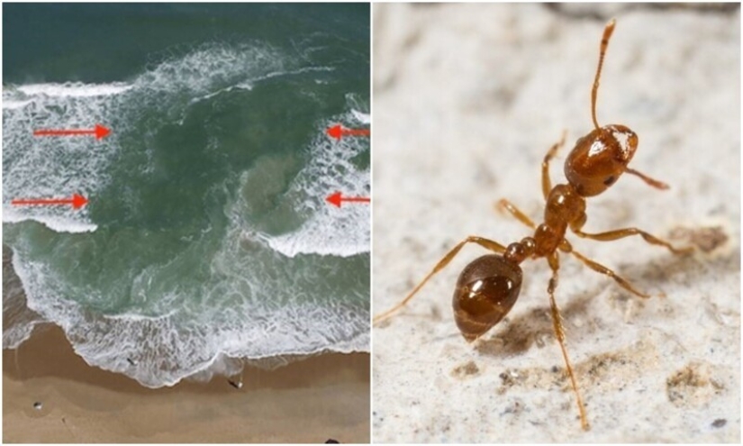 20 señales de la naturaleza que nos advierten del peligro 20 señales de la naturaleza que nos advierten del peligro