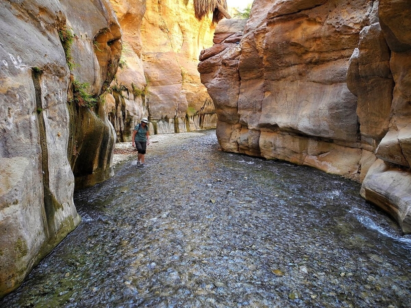 20 señales de la naturaleza que nos advierten del peligro 20 señales de la naturaleza que nos advierten del peligro