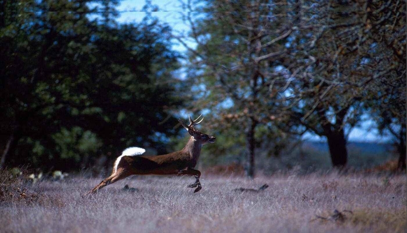 20 señales de la naturaleza que nos advierten del peligro 20 señales de la naturaleza que nos advierten del peligro