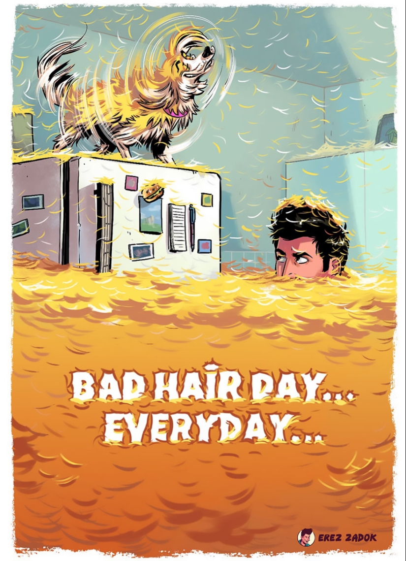 20 situations perfectly familiar to every dog owner 20 situations perfectly familiar to every dog owner