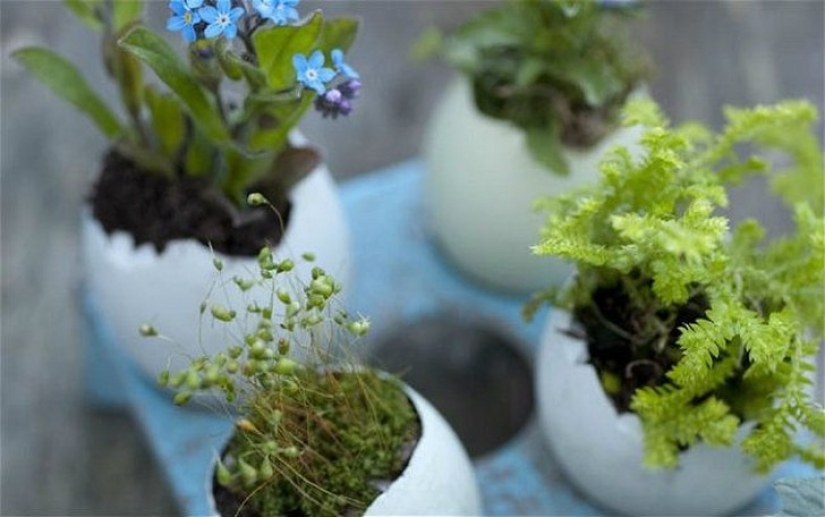 20 small gardens that fit in the palm of your hand 20 small gardens that fit in the palm of your hand