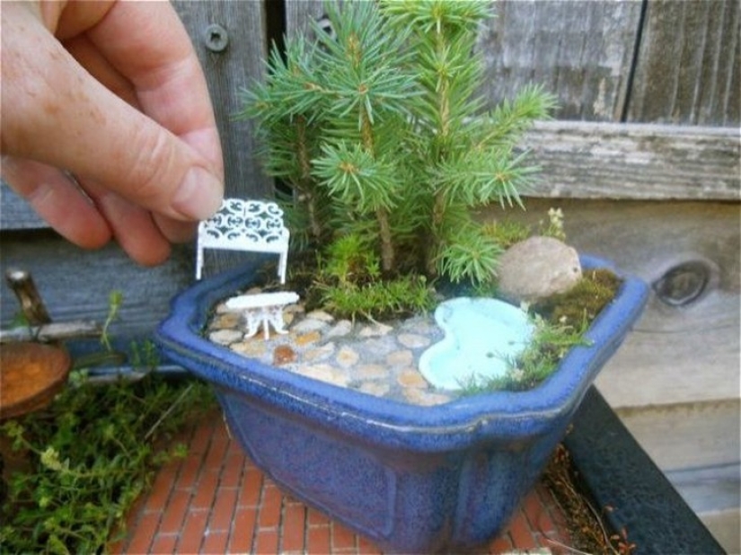 20 small gardens that fit in the palm of your hand 20 small gardens that fit in the palm of your hand
