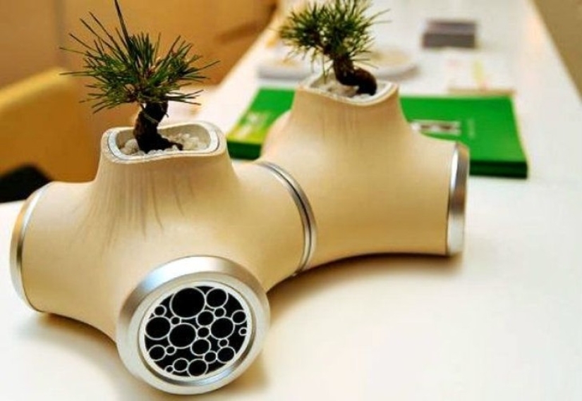 20 small gardens that fit in the palm of your hand 20 small gardens that fit in the palm of your hand