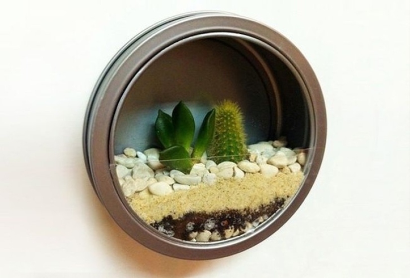 20 small gardens that fit in the palm of your hand 20 small gardens that fit in the palm of your hand