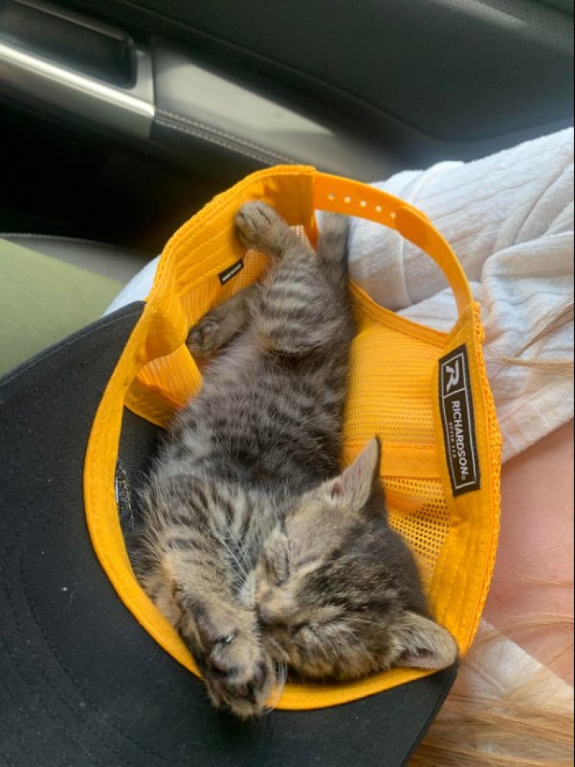 20 super-mimimish photos that will delight you