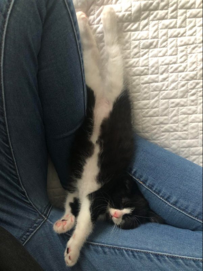 20 super-mimimish photos that will delight you