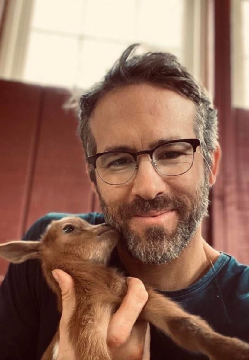 20 super-mimimish photos that will delight you