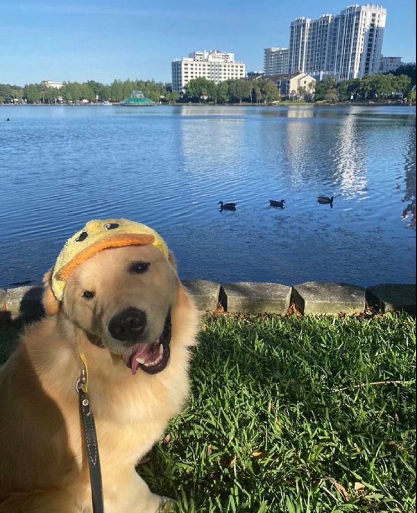 20 super-mimimish photos that will delight you