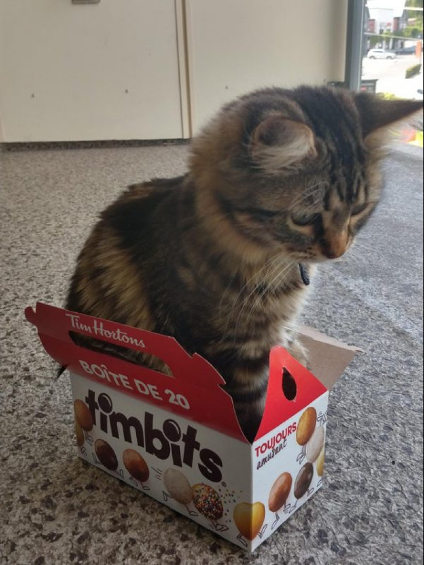 20 super-mimimish photos that will delight you