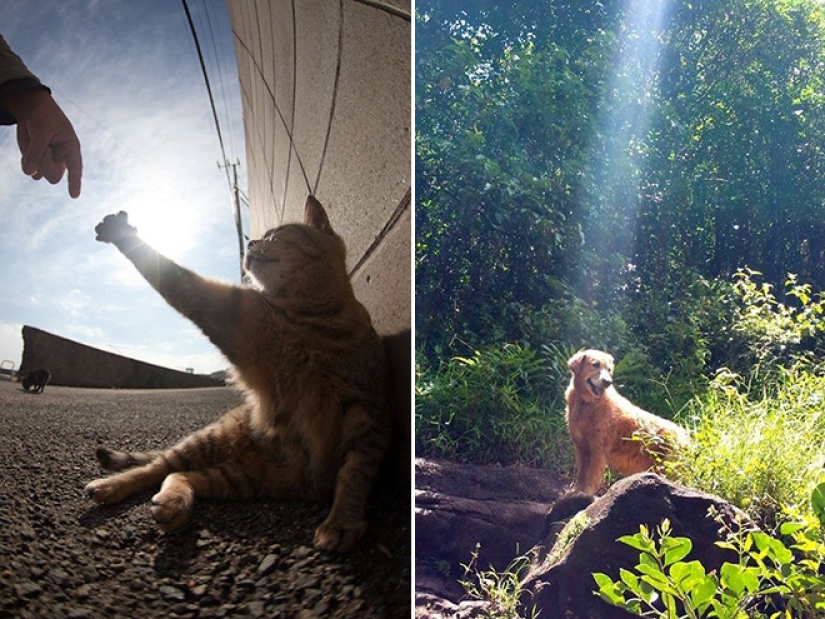 20 temas cotidianos, como copiados de las pinturas del Renacimiento 20 temas cotidianos, como copiados de las pinturas del Renacimiento