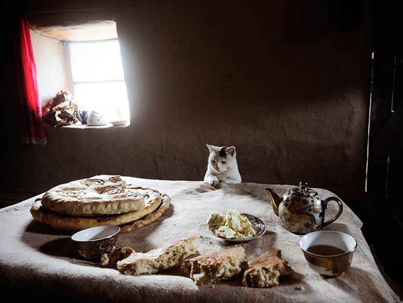 20 temas cotidianos, como copiados de las pinturas del Renacimiento 20 temas cotidianos, como copiados de las pinturas del Renacimiento