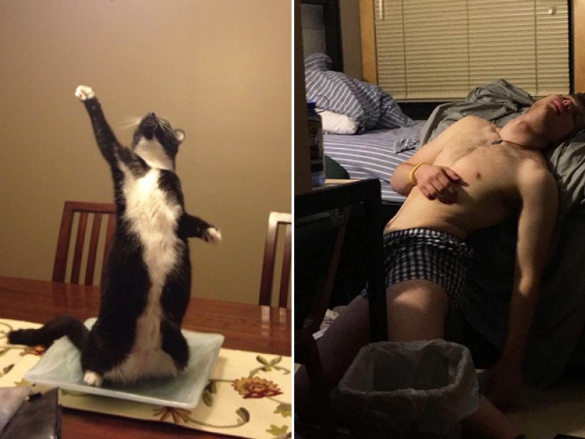 20 temas cotidianos, como copiados de las pinturas del Renacimiento 20 temas cotidianos, como copiados de las pinturas del Renacimiento