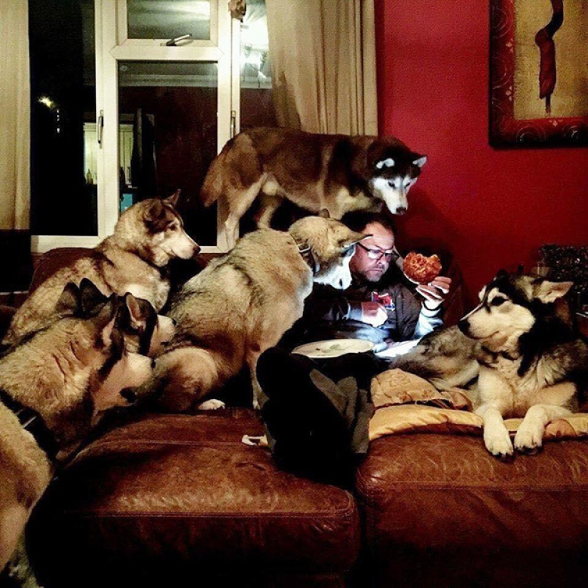 20 temas cotidianos, como copiados de las pinturas del Renacimiento 20 temas cotidianos, como copiados de las pinturas del Renacimiento