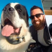 20 touching photos of dogs and their owners at the beginning of a friendship after many years