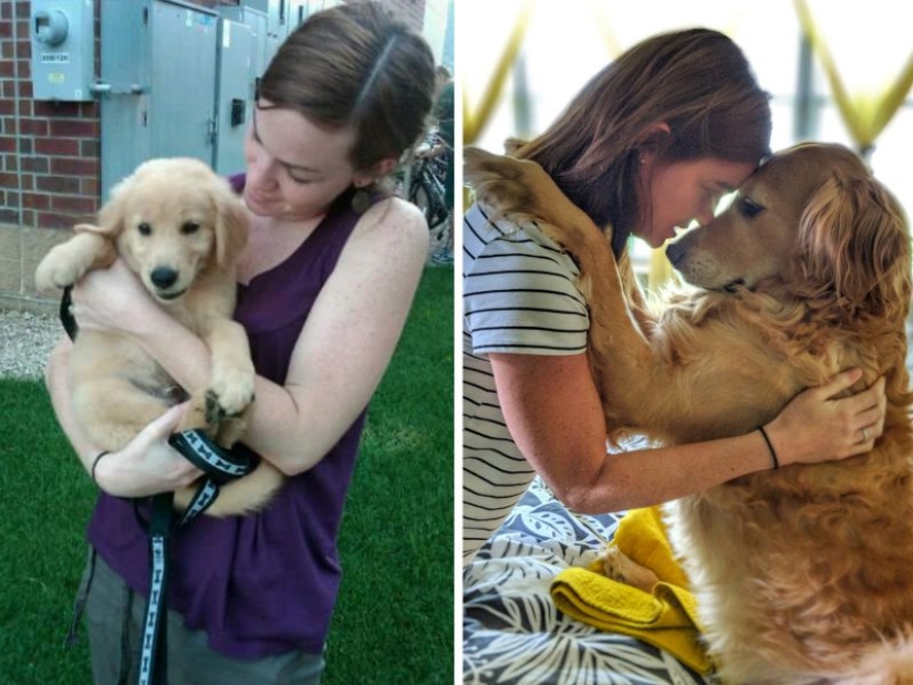 20 touching photos of dogs and their owners at the beginning of a friendship after many years