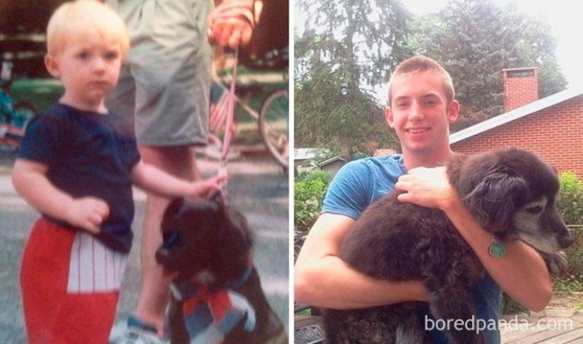 20 touching photos of dogs and their owners at the beginning of a friendship after many years