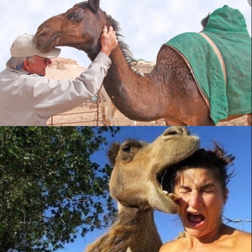 20 veces en las que la realidad no cumplió con las expectativas 20 veces en las que la realidad no cumplió con las expectativas