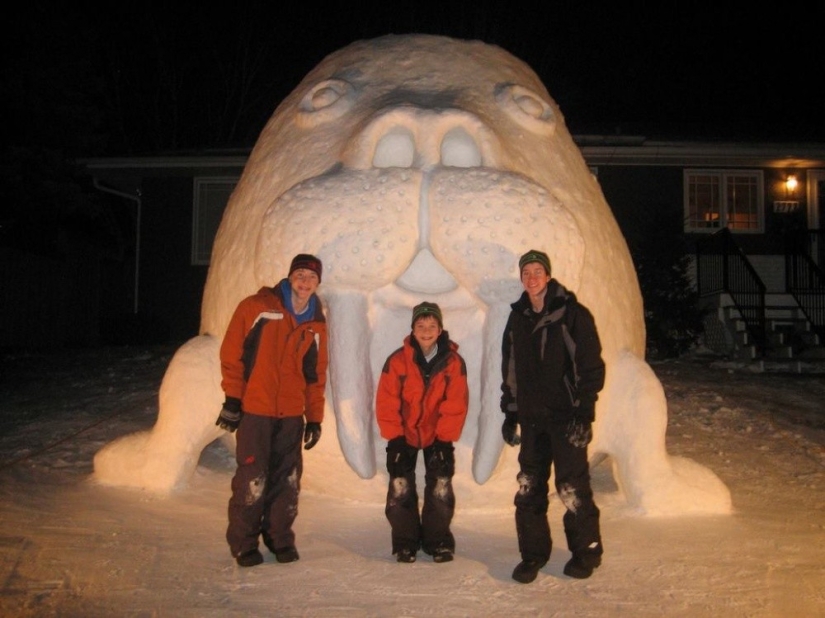 20 ways to artistically arrange snowdrift