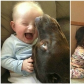 21 Cute Ways Every Kid Needs a Dog