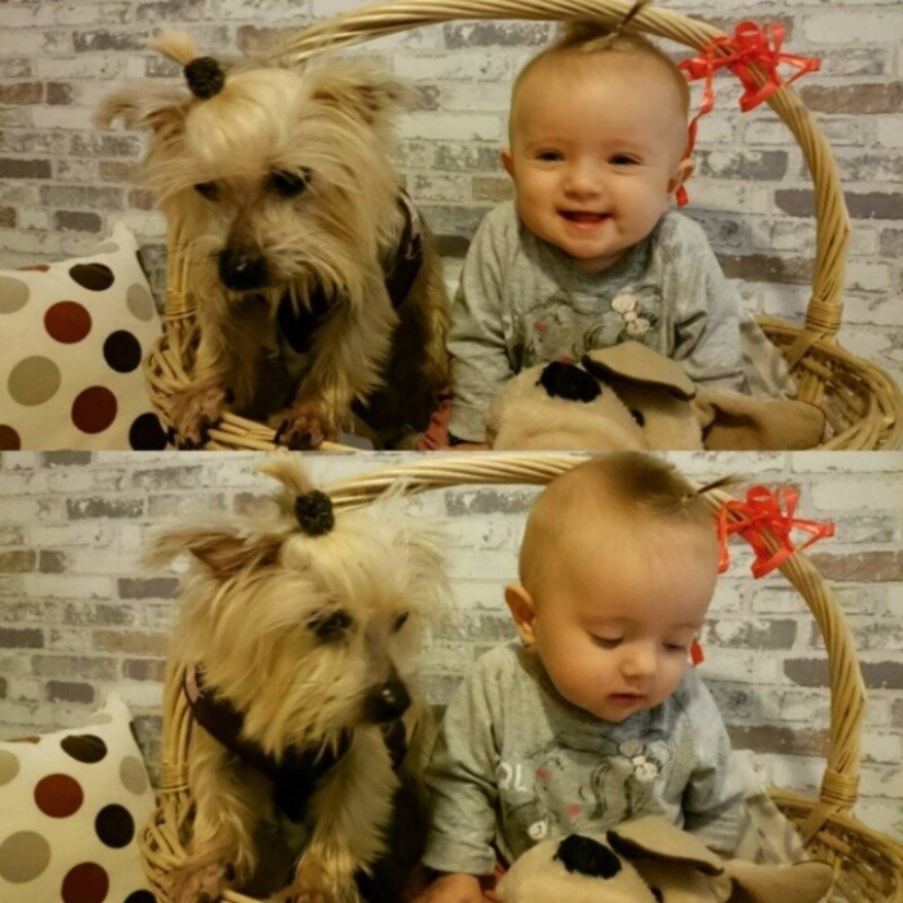 21 Cute Ways Every Kid Needs a Dog