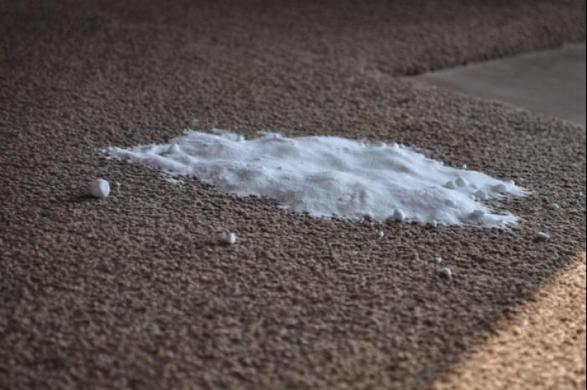 21 life hacks for pet owners 21 life hacks for pet owners