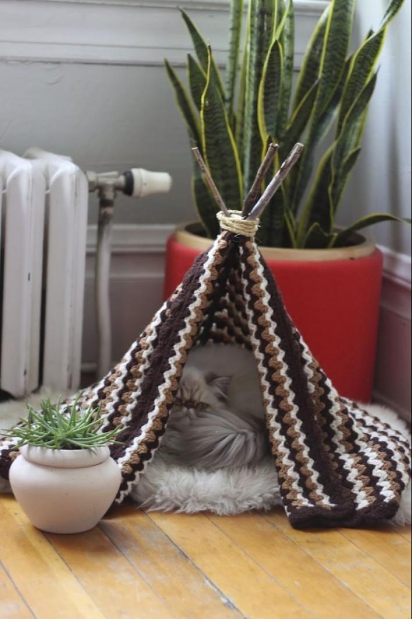 21 life hacks for pet owners 21 life hacks for pet owners