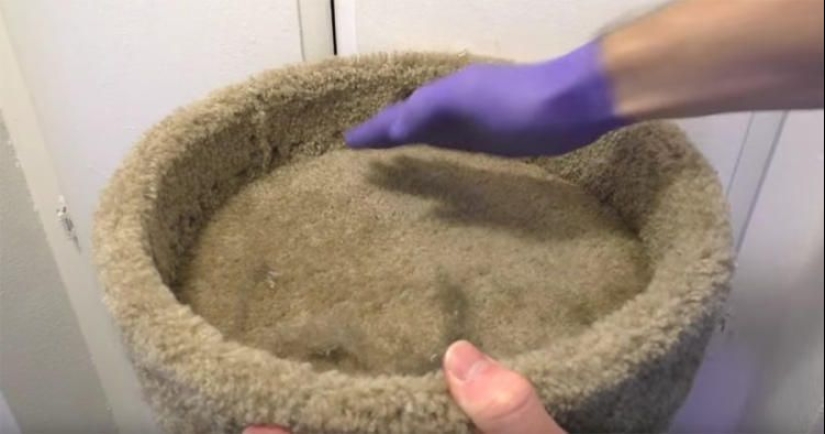 21 life hacks for pet owners 21 life hacks for pet owners