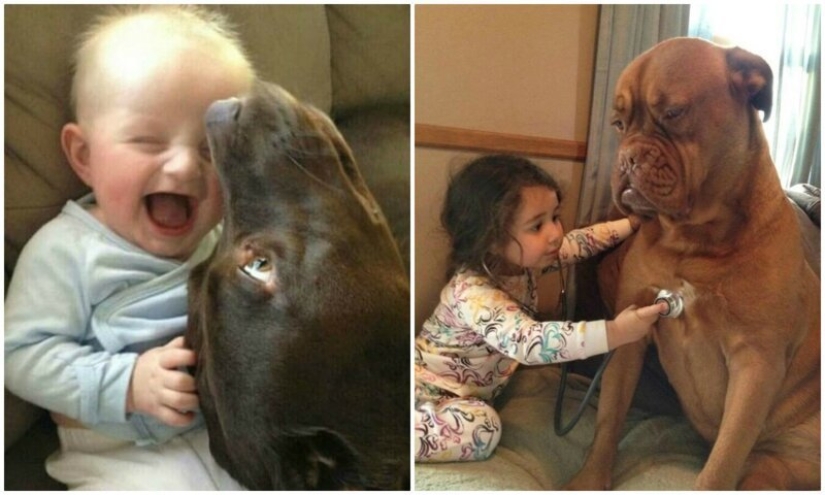 21 lindas pruebas de que todo niño necesita un perro