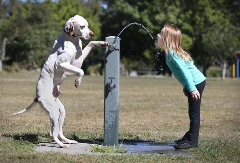 21 lindas pruebas de que todo niño necesita un perro