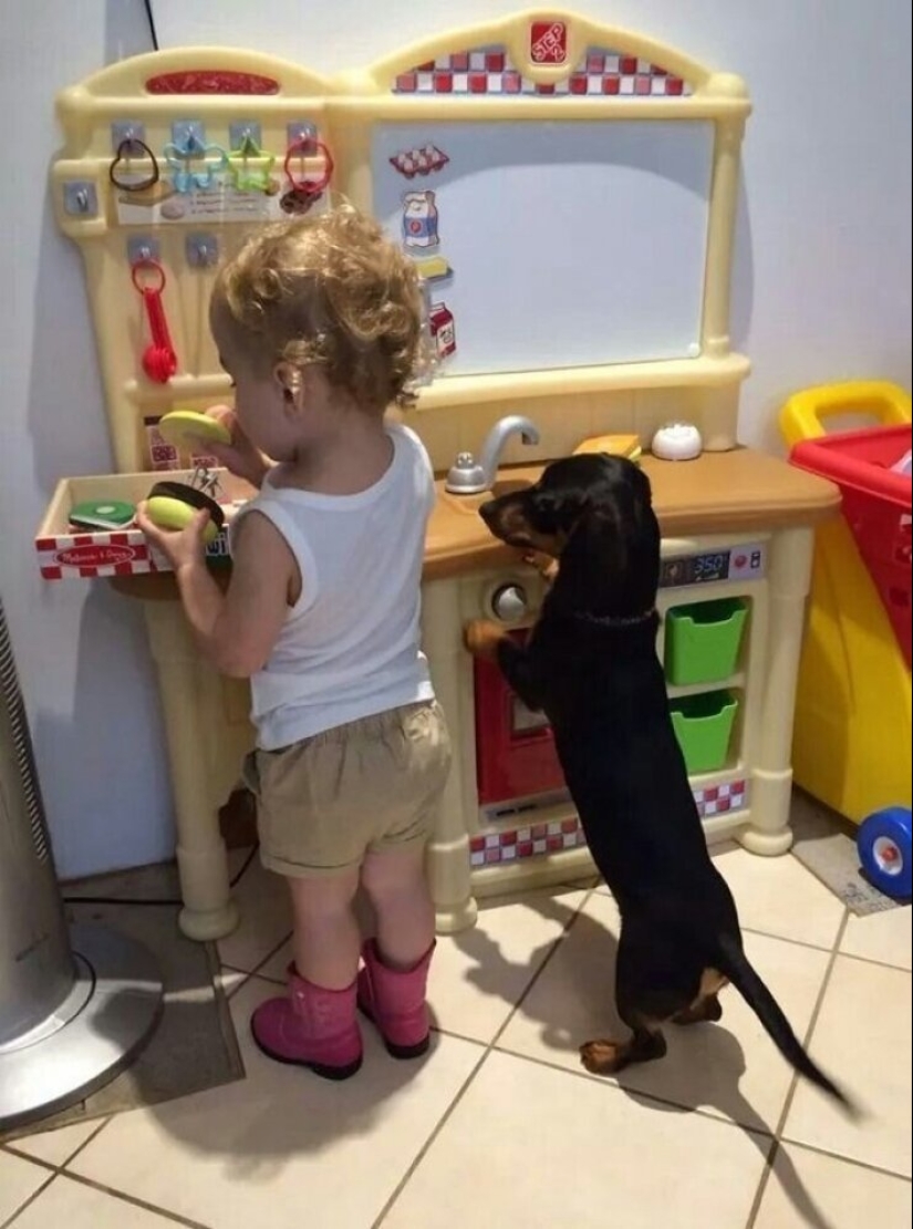 21 lindas pruebas de que todo niño necesita un perro