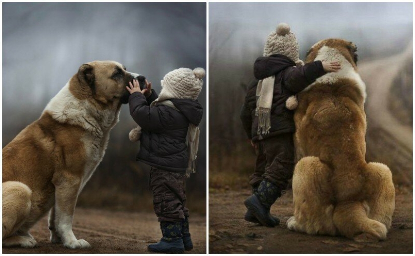 21 lindas pruebas de que todo niño necesita un perro