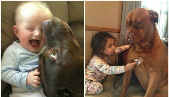 21 lindas pruebas de que todo niño necesita un perro