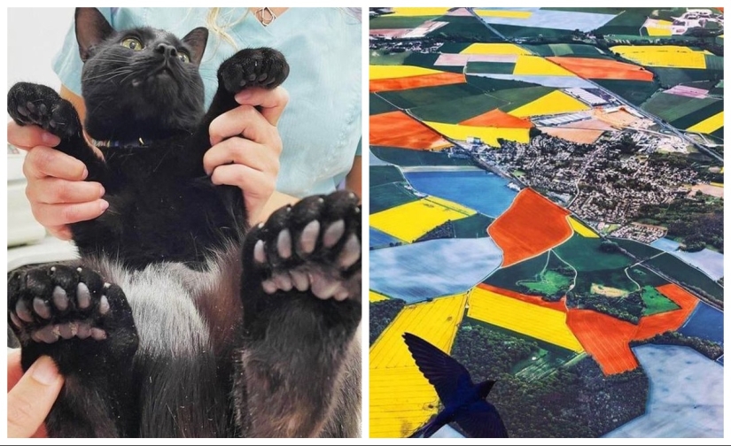 22 amazing frames that are worth seeing at least once in your life 22 amazing frames that are worth seeing at least once in your life