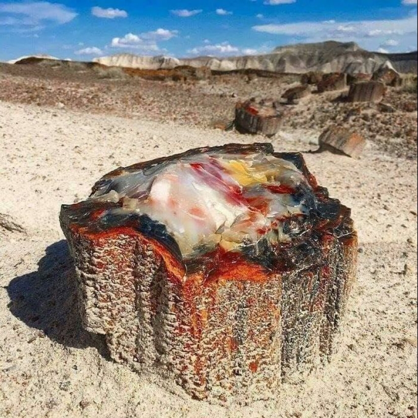 22 amazing frames that are worth seeing at least once in your life 22 amazing frames that are worth seeing at least once in your life