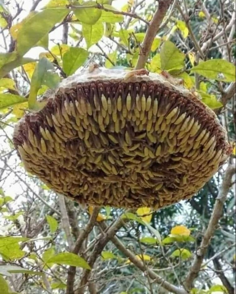 22 amazing frames that are worth seeing at least once in your life 22 amazing frames that are worth seeing at least once in your life