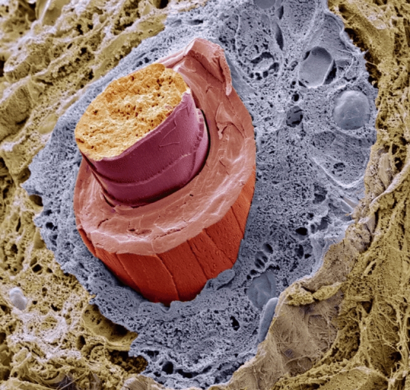 22 amazing frames that are worth seeing at least once in your life 22 amazing frames that are worth seeing at least once in your life