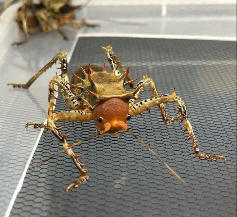 22 amazing frames that are worth seeing at least once in your life 22 amazing frames that are worth seeing at least once in your life