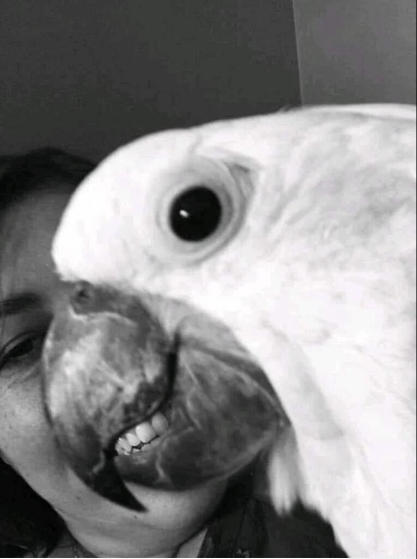 22 ambiguas imágenes acerca de que el diablo de los ojos romper 22 ambiguas imágenes acerca de que el diablo de los ojos romper