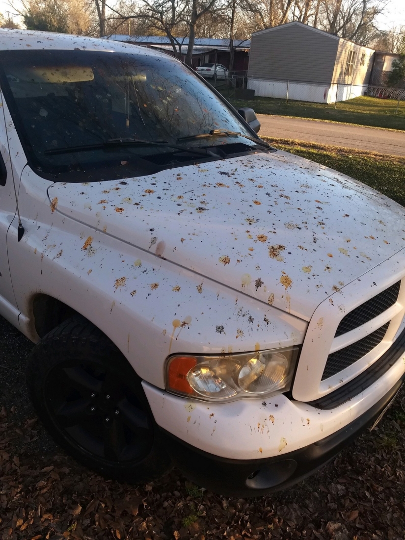 22 annoying trouble that turned someone's day into a nightmare