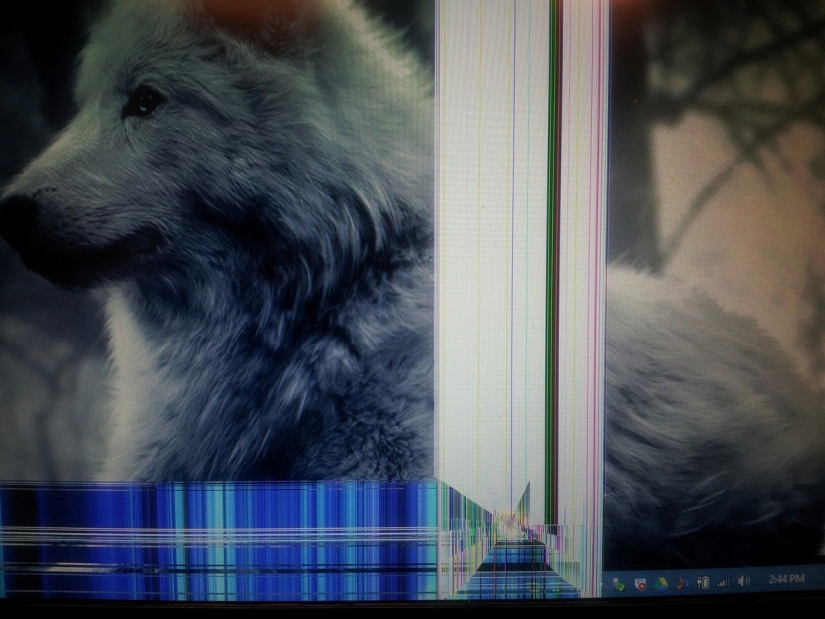 22 annoying trouble that turned someone's day into a nightmare