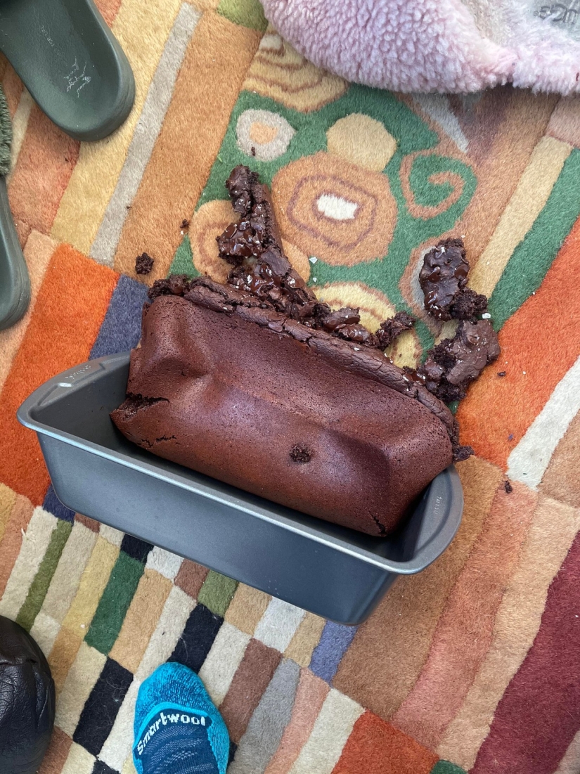 22 annoying trouble that turned someone's day into a nightmare