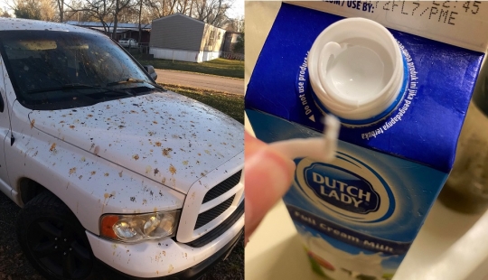 22 annoying trouble that turned someone's day into a nightmare