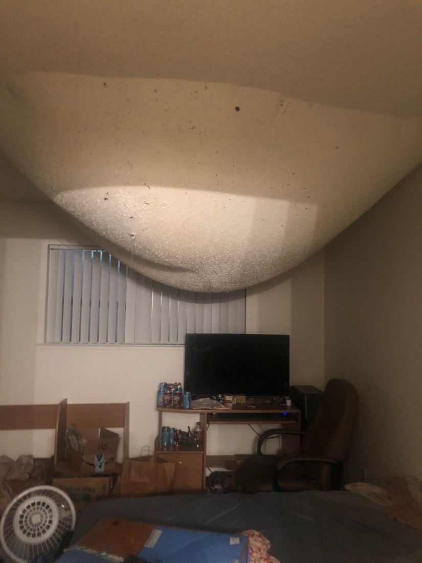 22 annoying trouble that turned someone's day into a nightmare