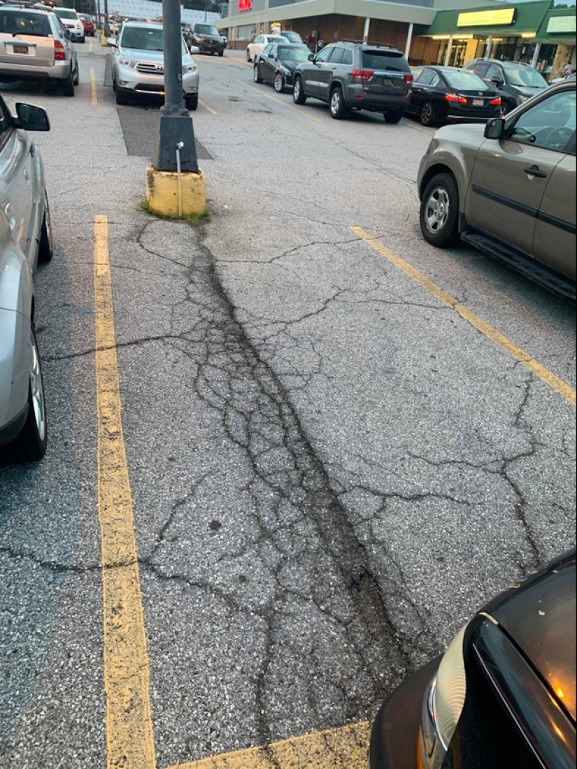 22 aspirantes a diseñadores y sus "obras" 22 aspirantes a diseñadores y sus "obras"