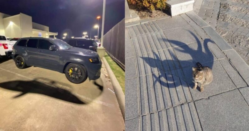 22 beautiful examples of the play of light and shadow 22 beautiful examples of the play of light and shadow