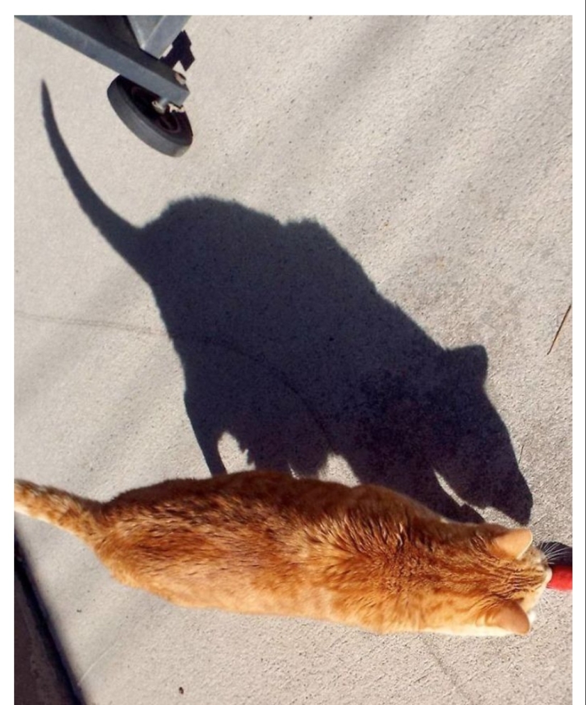 22 beautiful examples of the play of light and shadow 22 beautiful examples of the play of light and shadow